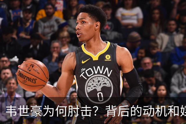 韦世豪为何肘击？背后的动机和媒体看法分析